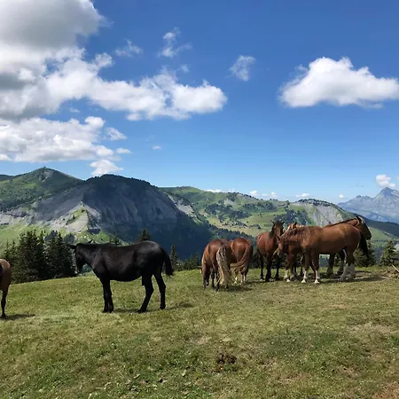 Le 138 Megeve *